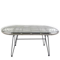 Τραπέζι Κήπου ARRIUS Γκρι/Μαύρο Μέταλλο/Rattan/Γυαλί 100x45x46cm