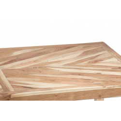 Τραπέζι σαλονιού Καφέ Πατίνα Ξύλο 120x60x46cm