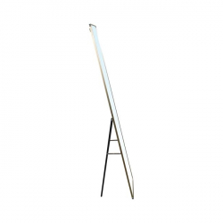 DAYTON Καθρέπτης Δαπέδου Αλουμίνιο / Χρυσό 40x43x160cm