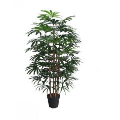 ΤΕΧΝΗΤΟΣ ΦΟΙΝΙΚΑΣ RHAPIS 180 ΕΚ.