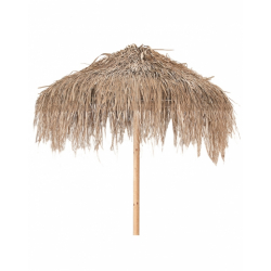 FUN PALM ΟΜΠΡΕΛΑ ΨΑΘΙΝΗ ΦΥΣΙΚΟ Φ200