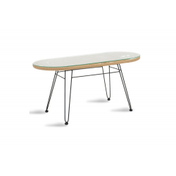 Τραπέζι Naoki pakoworld μέταλλο μαύρο-pe φυσικό-γυαλί 100x45x46εκ