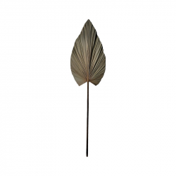Διακοσμητικό φύλλο Leafen I pakoworld φυσικό palm leaf 130εκ