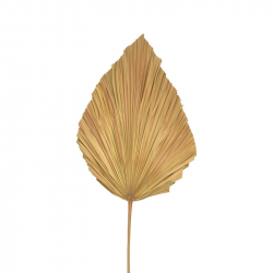 Διακοσμητικό φύλλο Walsy Inart palm leaf σε φυσική απόχρωση Υ135 εκ