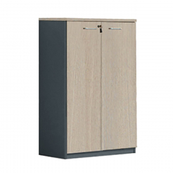 PROGRESS Ντουλάπι Γραφείου Δίφυλλο, 3 Ράφια, Απόχρωση Elm - Sky Grey  80x40x120cm