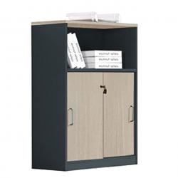 PROGRESS Ντουλάπι Γραφείου με Ράφι, Δίφυλλο Συρόμενες Πόρτες 2 Ράφια,Απόχρωση Elm-Sky Grey  80x40x120cm