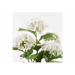 Διακοσμητικό φυτό σε γλάστρα Hydrangea Inart λευκό Φ35x50εκ