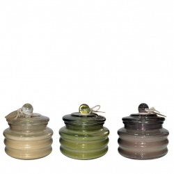 ΑΡΩΜΑΤΙΚΟ ΚΕΡΙ 2% 210GR ASSORT.3 - ΓΥΑΛ. CINNAMON&CLOVES - BLUE AIR - GALAXY ODYSSEY 22 ΩΡΕΣ ΚΑΥΣΗΣ