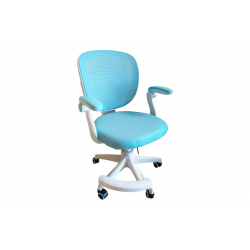 Καρέκλα γραφείου παδική Bernu pakoworld ύφασμα mesh σε σιελ απόχρωση 47x56x80-90εκ