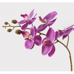 Διακοσμητικό φυτό σε γλάστρα Οrchid Beauty Inart 30x13x46εκ