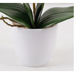 Διακοσμητικό φυτό σε γλάστρα Οrchid Beauty Inart 30x13x46εκ