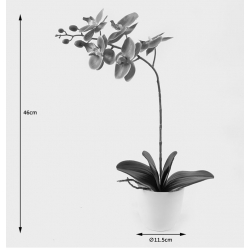 Διακοσμητικό φυτό σε γλάστρα Οrchid Beauty Inart 30x13x46εκ