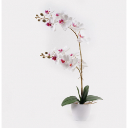 Διακοσμητικό φυτό σε γλάστρα Οrchid White Inart 36x17x65εκ