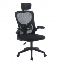 BF3055 Πολυθρόνα Γραφείου- Διευθυντή, Mesh Μαύρο  60x49x110/120cm