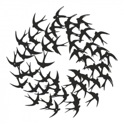 Διακοσμητικό τοίχου Swarm pakooworld μαύρο μεταλλικό Φ50x1,5εκ
