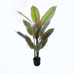 Διακοσμητικό φυτό σε γλάστρα Calathea Inart πράσινο Φ68x120εκ