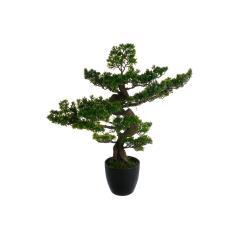 Φυτό σε γλάστρα Green3  pakoworld 80x54x80εκ