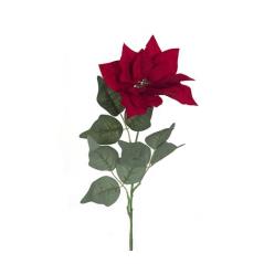 Αλεξανδρινό λουλούδι σε βαθύ κόκκινο ύφασμα