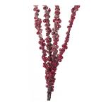 Μακρύ κλαδί με χιονισμένα berries, κόκκινο συνθετικό πλαστικό