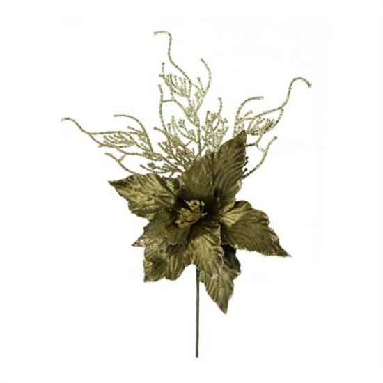 Κλαρί αλεξανδρινό λουλούδι, λαδί βελούδο Υ50cm