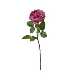 English rose ροζ/πράσινο ύφασμα, Φ10Χ76cm