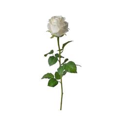 Τριαντάφυλλο μπουμπούκι κρεμ ύφασμα,71cm