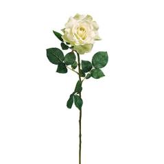 Τριαντάφυλο "Georgia" σε χρώμα λευκό Η70cm