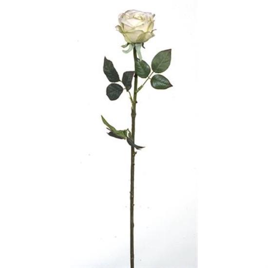 Τριαντάφυλλο Polo Λευκό Ύφασμα 78cm