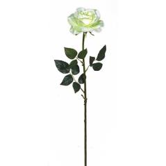 Τριαντάφυλλο Avalance σε Κρεμ & Πράσινο χρώμα Ύφασμα