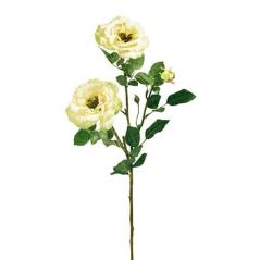 Τριαντάφυλλο "Isabel" X 3 σε χρώμα Lime Η70cm