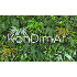 KONDIMAR CAFE-BAR